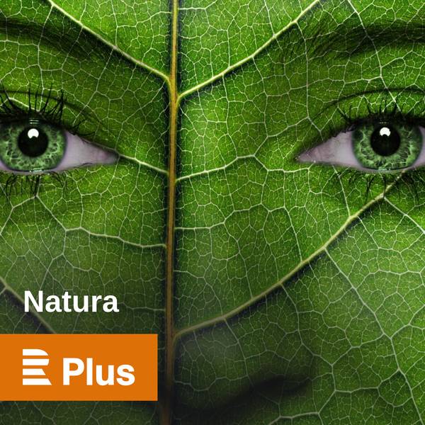Natura